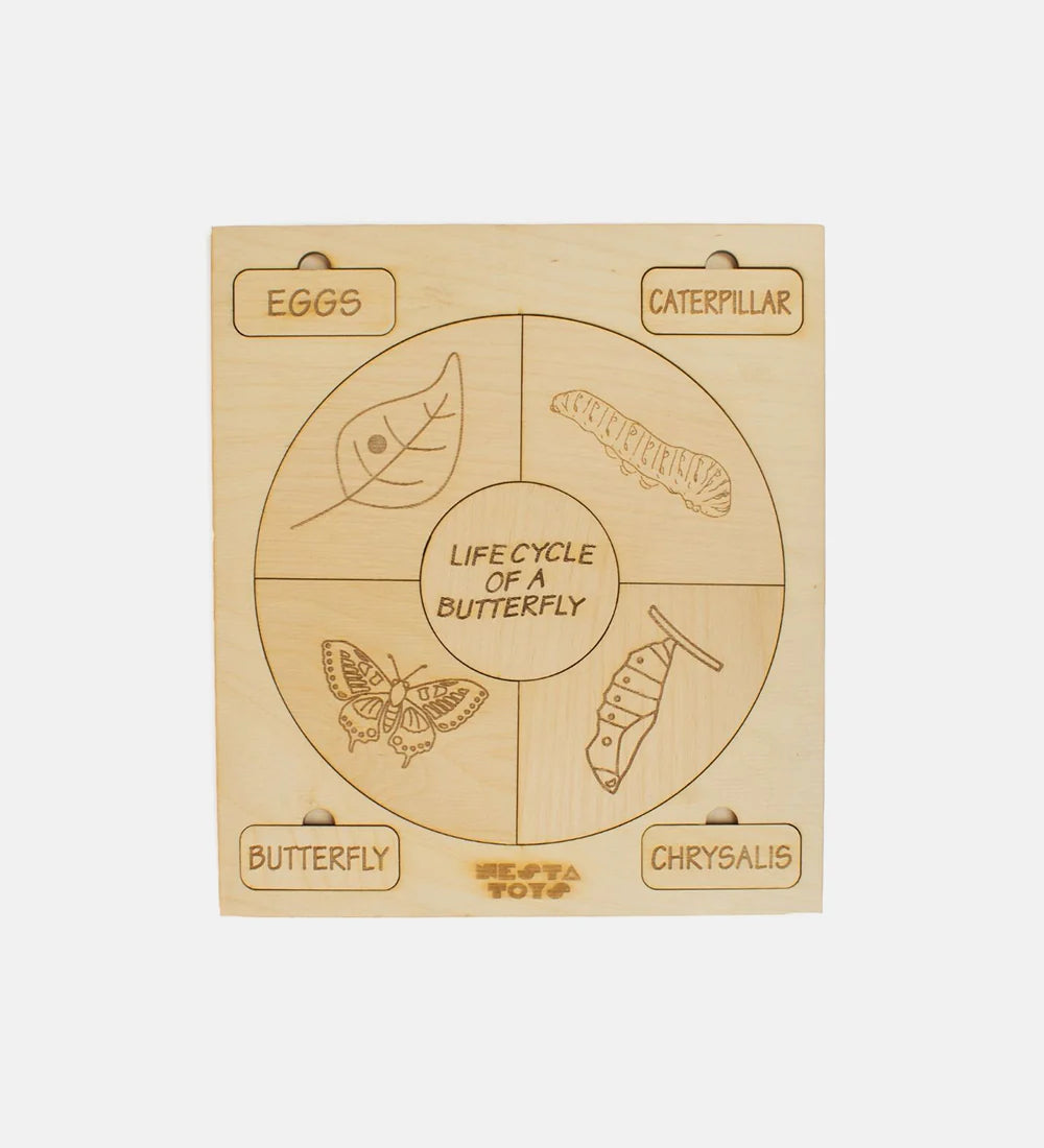 Life cycle puzzle