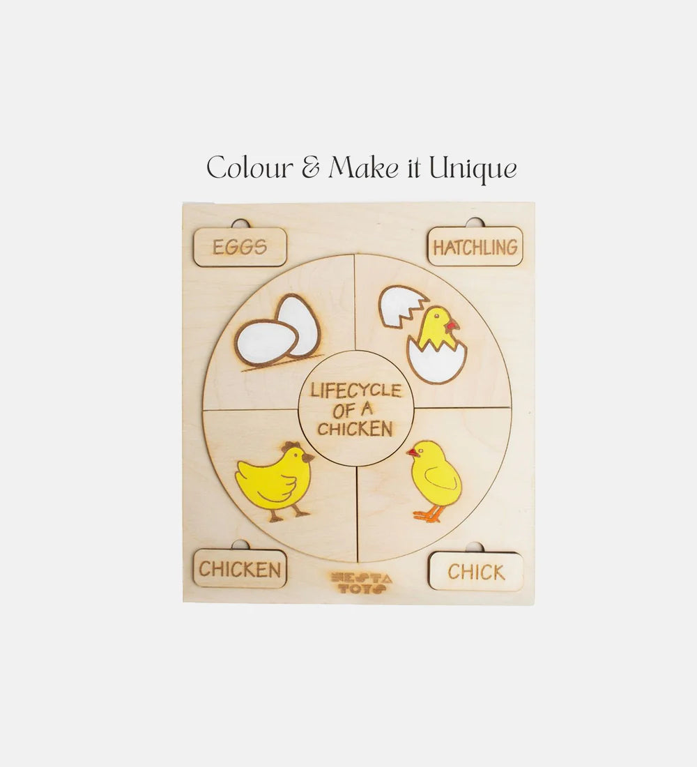 Life cycle puzzle
